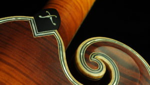 close up of a mandolin with dark background