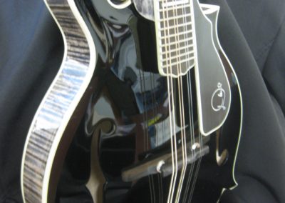 Bruce Weber mandolin armrests, pickguards, harmonic suppressors