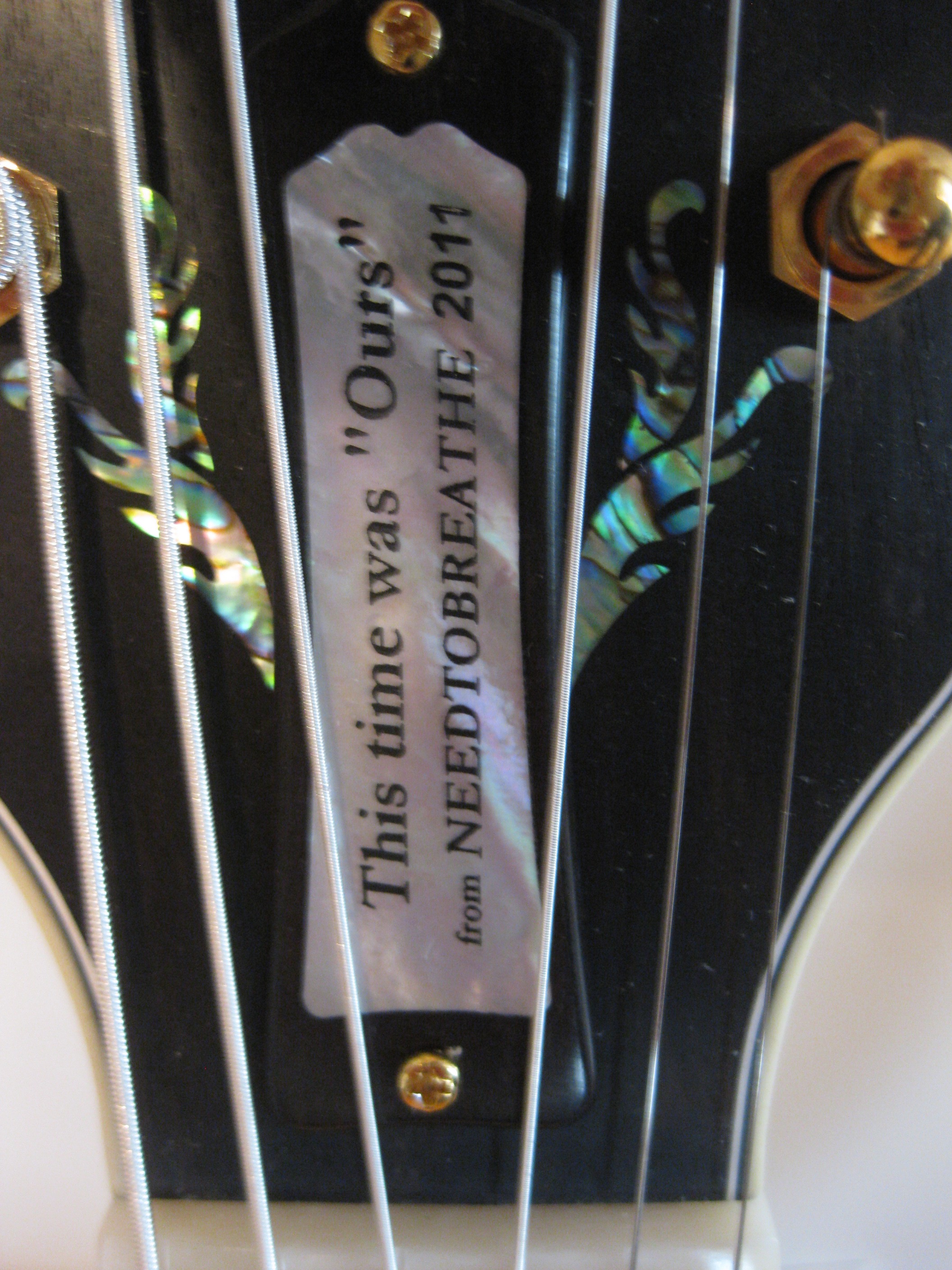 Mandolin Truss Rod Covers Montana Lutherie The Mandolin Authority