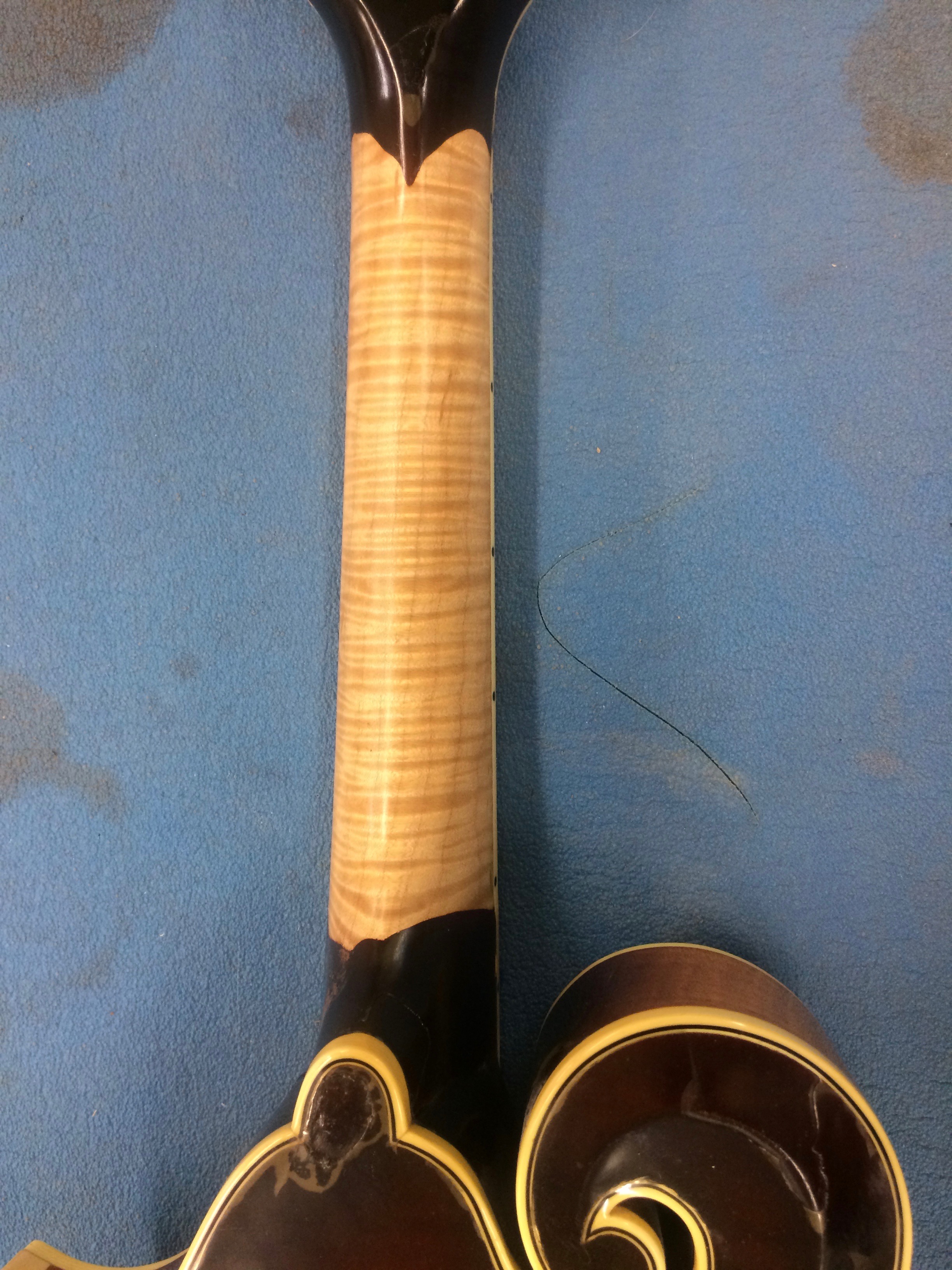 Mandolin Necks & Fingerboards Montana Lutherie Mandolin Customization