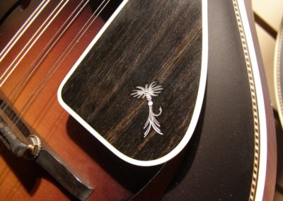 Bruce Weber mandolin armrests, pickguards, harmonic suppressors