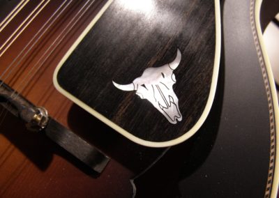 Bruce Weber mandolin armrests, pickguards, harmonic suppressors