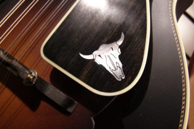 Bruce Weber mandolin armrests, pickguards, harmonic suppressors