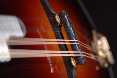 Original Ebony Traditional Bridges - Image 4