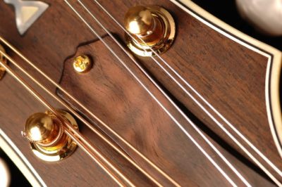 Truss Rod Covers - Image 2
