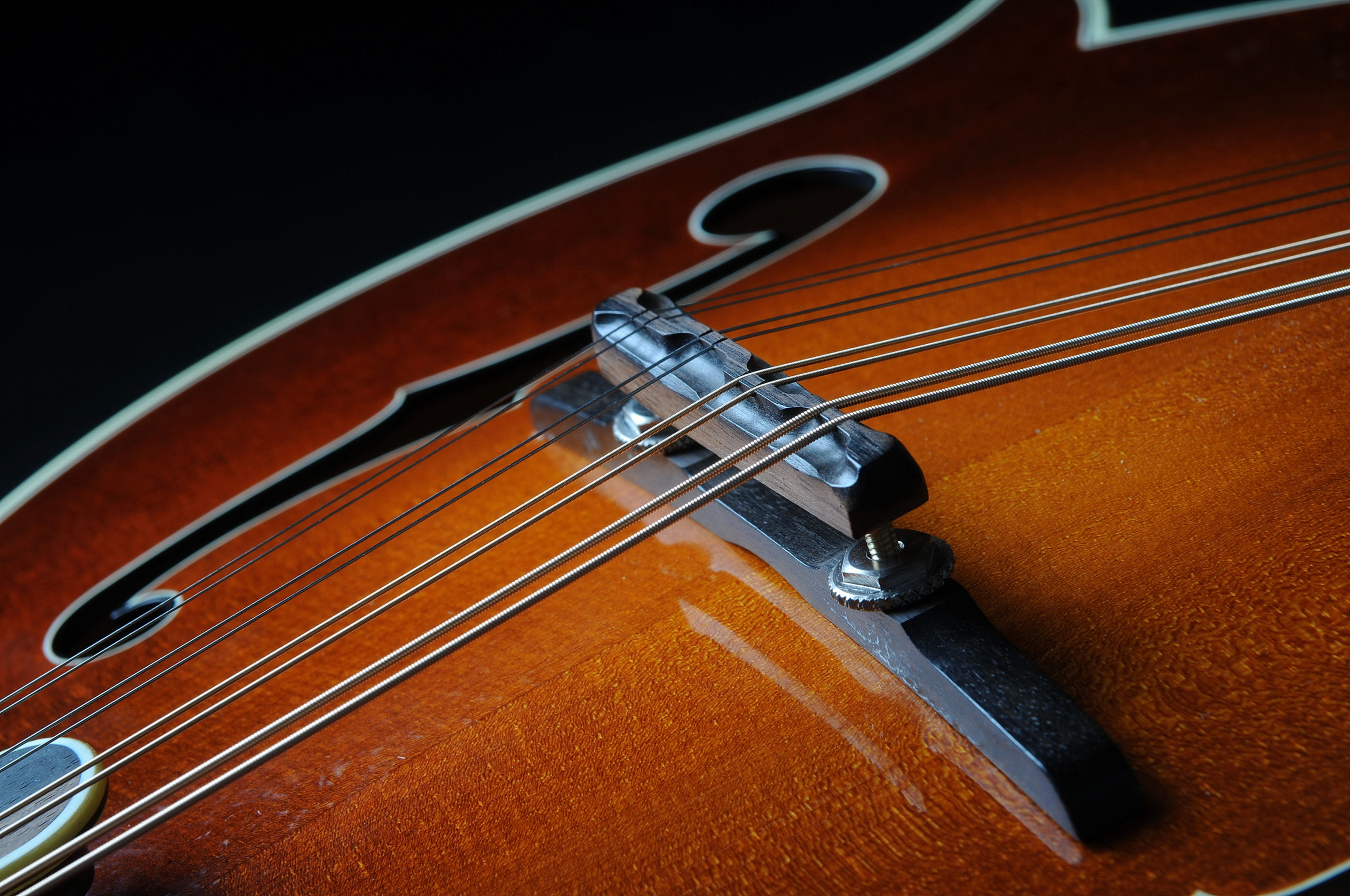 Greenten 4.49 Adjustable Compensated Mandolin Strings Bridge Ebony for Archtop Mandolins 