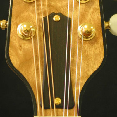 Truss Rod Covers