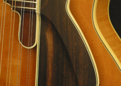 Bruce Weber mandolin armrests, pickguards, harmonic suppressors