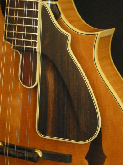 Bruce Weber mandolin armrests, pickguards, harmonic suppressors