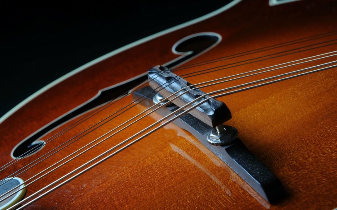 Mandolin Bridges Flipped