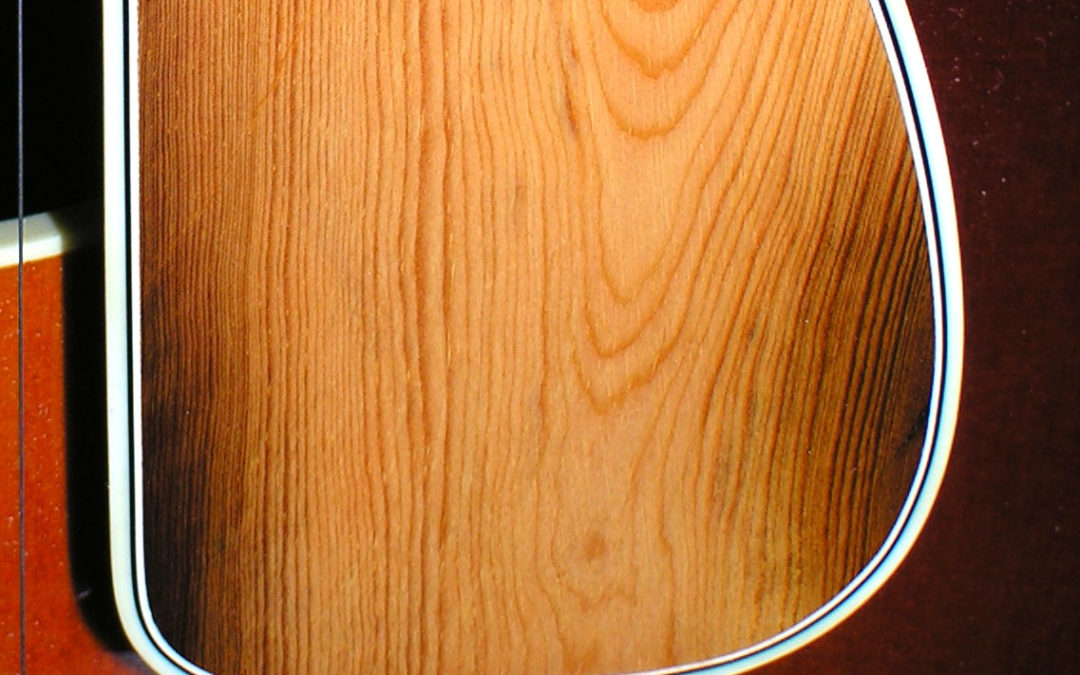 The Special History of a Mandolin Pickguard
