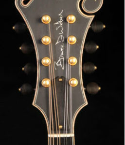 Bruce Weber Mandolin Peghead Inlay