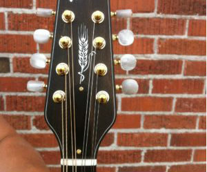 Bruce Weber Mandolin Peghead Inlay