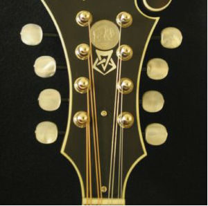 Bruce Weber Mandolin Peghead Inlay