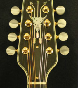 Bruce Weber Mandolin Peghead Inlay