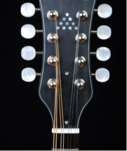 Bruce Weber Mandolin Peghead Inlay