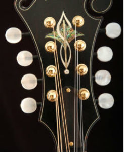 Bruce Weber Mandolin Peghead Inlay