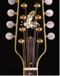 Bruce Weber Mandolin Peghead Inlay