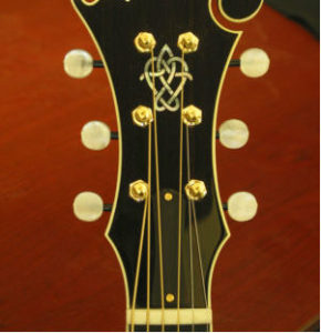Bruce Weber Custom Tuning