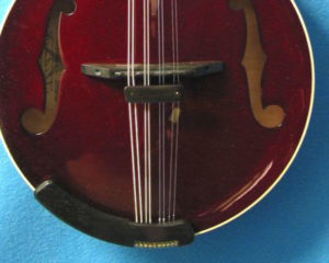 Bruce Weber mandolin armrests, pickguards, harmonic suppressors