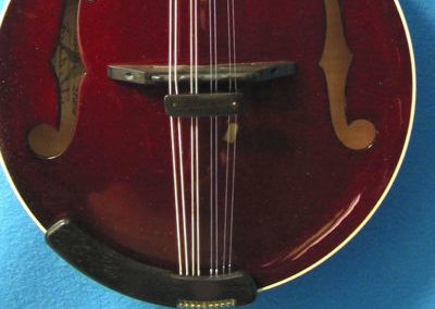 Bruce Weber mandolin armrests, pickguards, harmonic suppressors