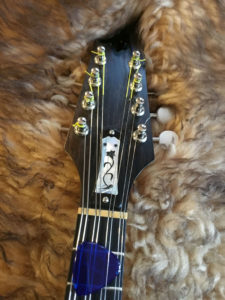 Bruce Weber Truss Rod Cover