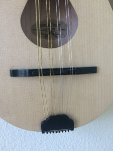 Ranger Travel Mandolin