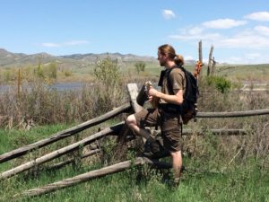 Ranger Travel Mandolin