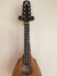 Ranger Travel Mandolin