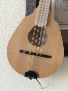 Ranger Travel Mandolin