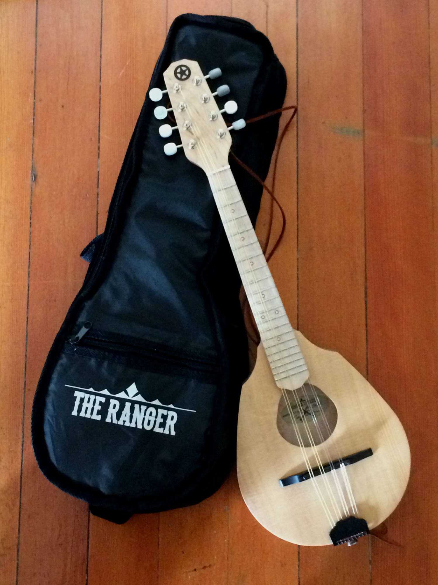 used travel mandolin