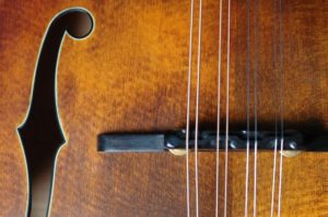 Mandolin Bridges