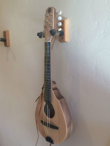 Ranger Travel Mandolin Custom