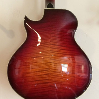 Cutaway Mandolins