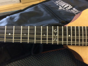 Ranger Custom Travel Mandolin