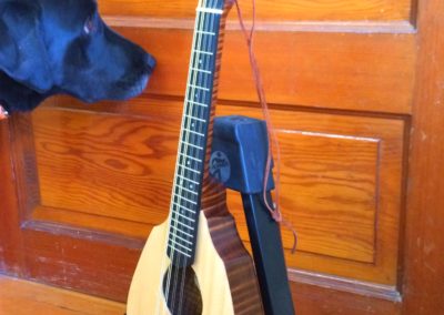 Ranger Travel Mandolin