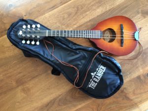 Ranger Travel Mandolin