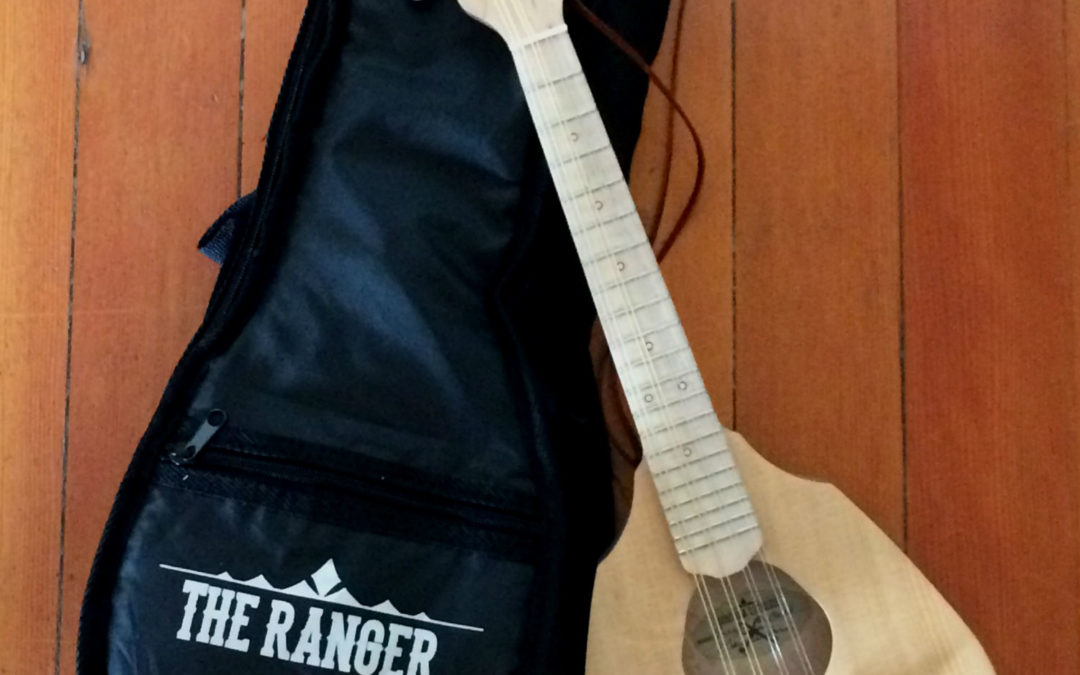 Travel or Beginner Mandolin