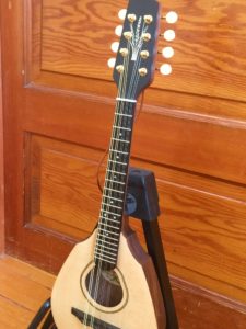 Ranger Travel Mandolin