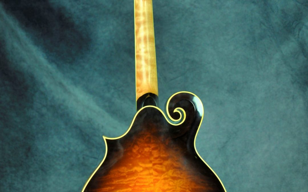 A Special One of Kind Yellowstone Mandolin