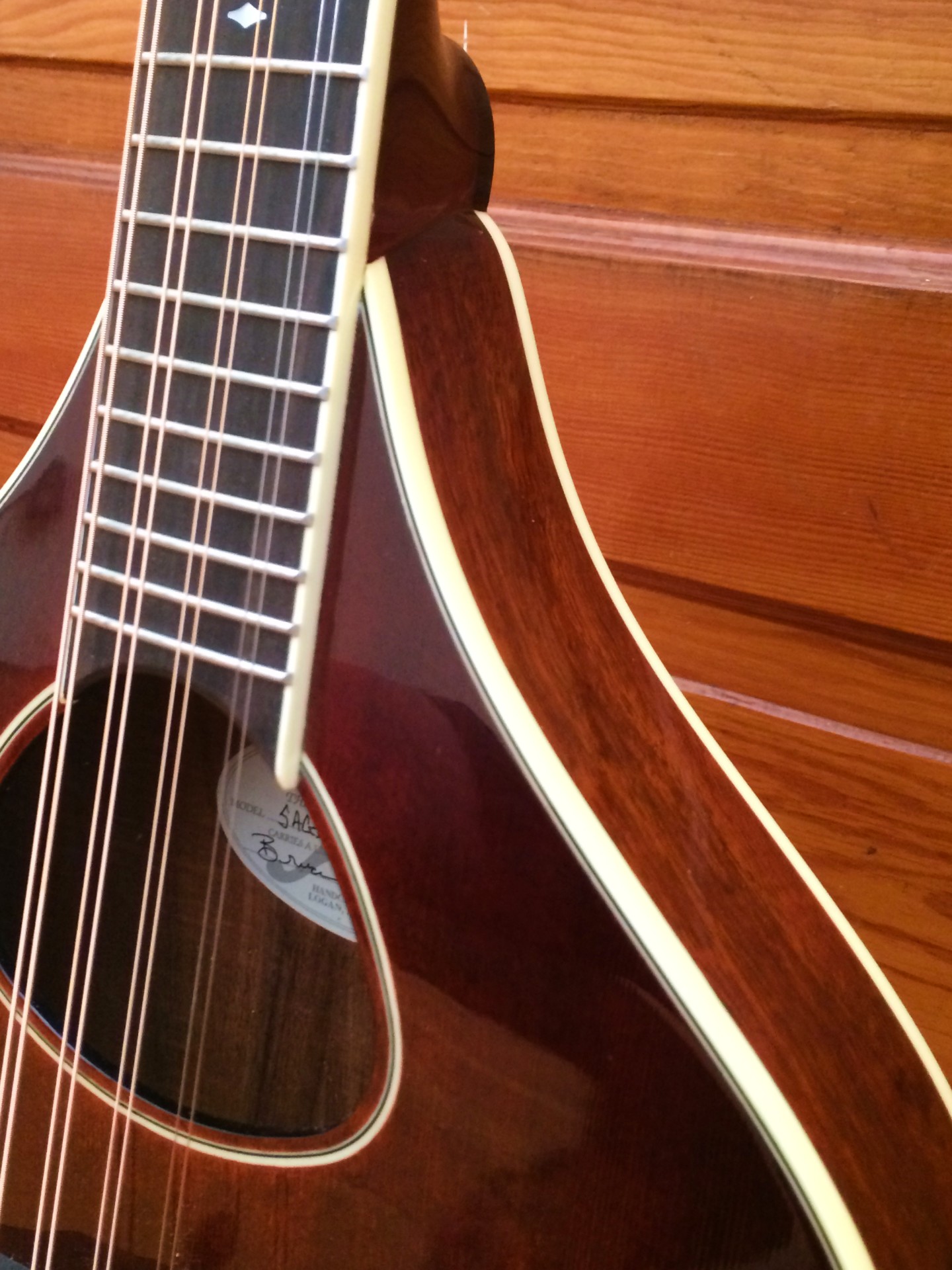 Weber Sage Octave Mandolin