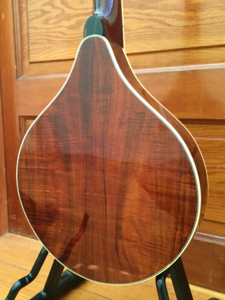 Weber Sage Octave Mandolin