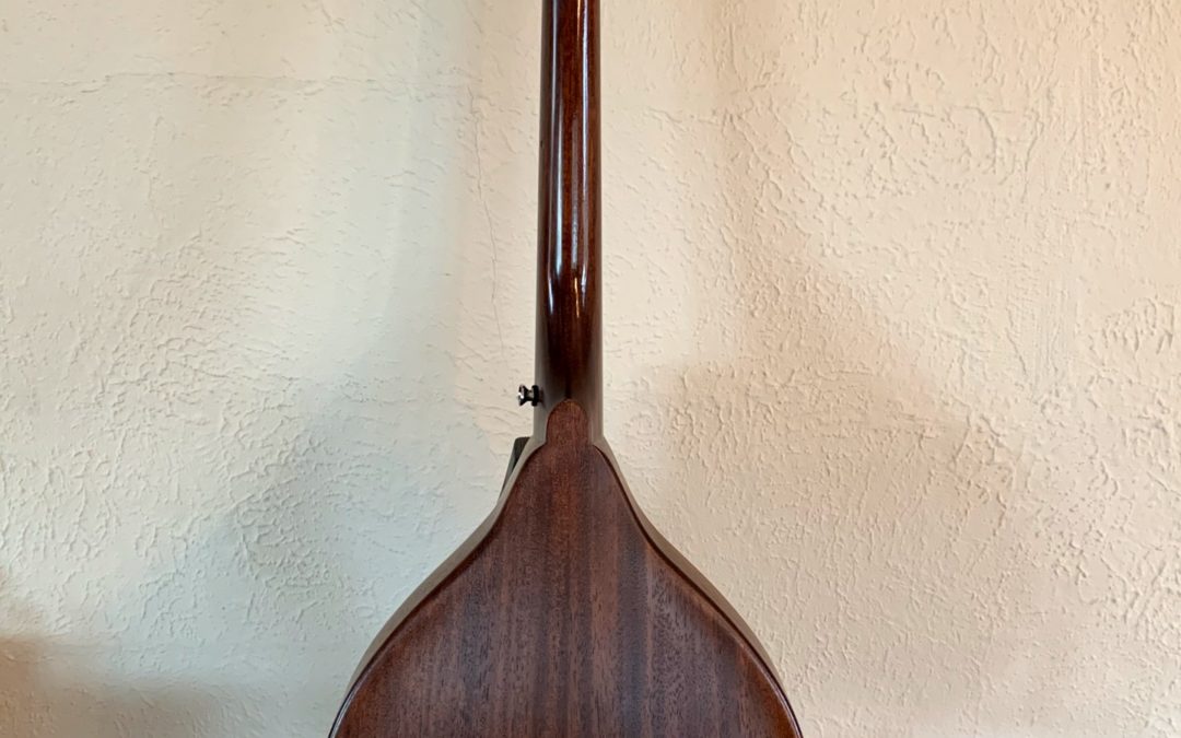 Weber Bitterroot A Octave Mandolin