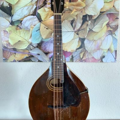 Gibson H1 Mandola