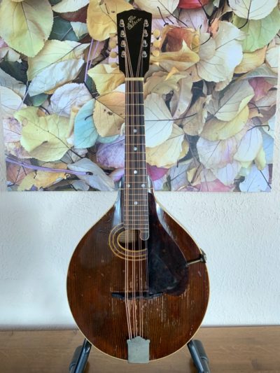 Gibson H1 Mandola
