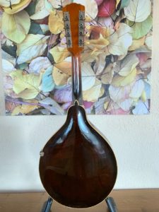 Gibson H1 Mandola