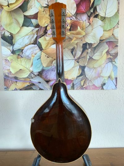 Gibson H1 Mandola
