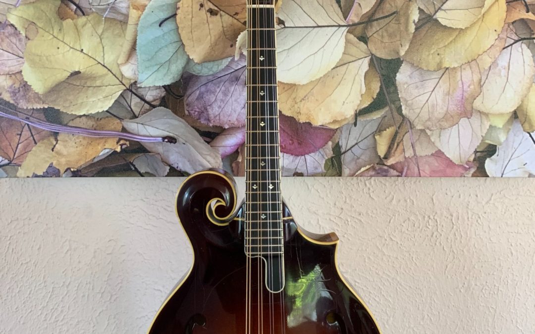 Weber Big Sky Mandolin