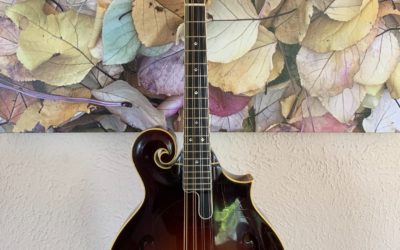 Great Deal on Weber Big Sky Mandolin!