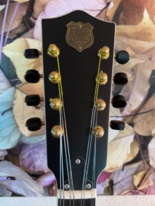 National Resophonic Mandolin
